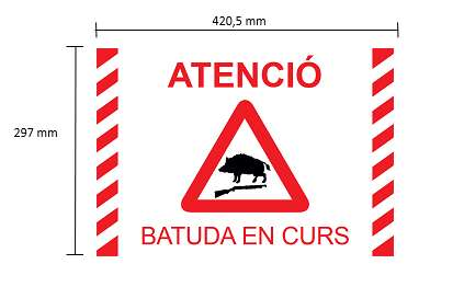 R20250604B A1